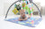 Baby Care Activity Gym Mat